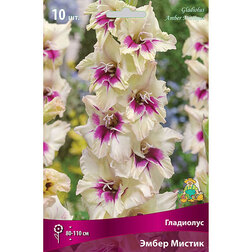 ����  ��������� ��������������� ����� ������ (10 ��.), ������ �� 476 ���