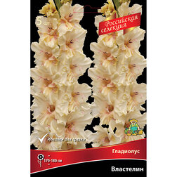 ����  ��������� ��������� (5 ��.), ������ �� 637 ���