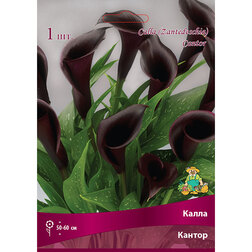 ����  ����� ������, ������ �� 360 ���