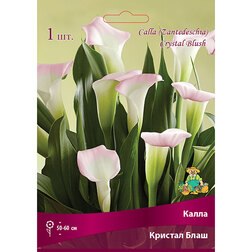 ����  ����� ������� ����, ������ �� 360 ���