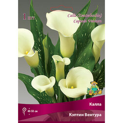 ����  ����� ������ �������, ������ �� 360 ���