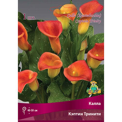 ����  ����� ������ �������, ������ �� 360 ���