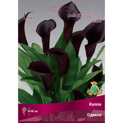 ����  ����� ������, ������ �� 360 ���