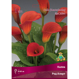 ����  ����� ��� �����, ������ �� 360 ���