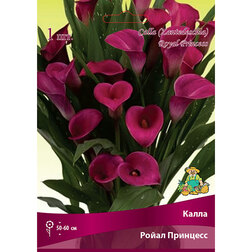 ����  ����� ����� ��������, ������ �� 360 ���