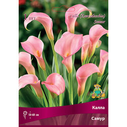 ����  ����� �����, ������ �� 360 ���