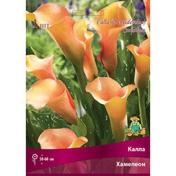 ����  ����� ��������, ������ �� 360 ���