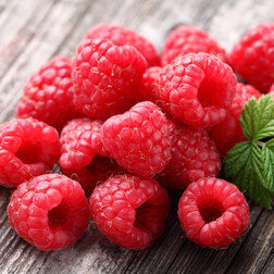 ����  ������-���������� ������ (������ � ��������), ������ �� 239 ���