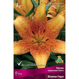 ����  ����� ��������� ����� ����� ���� (2 ��.), ������ �� 387 ���