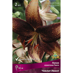 ����  ����� ��������� ����� ������ ����� (2 ��.), ������ �� 462 ���