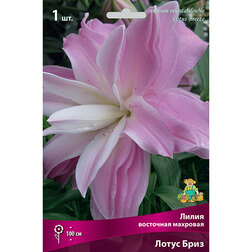 ����  ����� ��������� ����� ����, ������ �� 319 ���