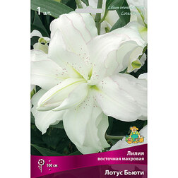 ����  ����� ��������� ����� �����, ������ �� 319 ���