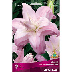 ����  ����� ��������� ����� ����, ������ �� 319 ���