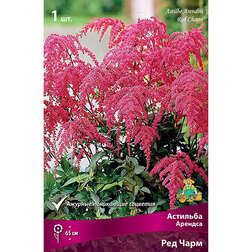 ����  �������� ������� ��� ����, ������ �� 283 ���