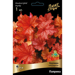 ����  ������� ��������� �������, ������ �� 848 ���