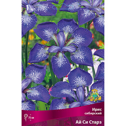 ����  ���� ��������� �� �� �����, ������ �� 292 ���