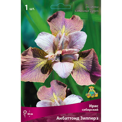 ����  ���� ��������� ��������� �������, ������ �� 357 ���