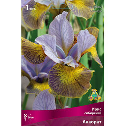 ����  ���� ��������� �������, ������ �� 357 ���