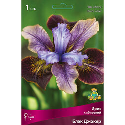 ����  ���� ��������� ���� ������, ������ �� 413 ���