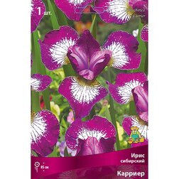 ����  ���� ��������� �������, ������ �� 292 ���