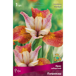 ����  ���� ��������� ��������, ������ �� 357 ���