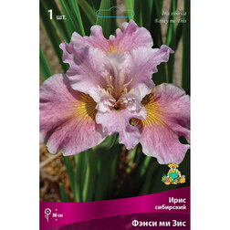 ����  ���� ��������� ����� �� ���, ������ �� 413 ���