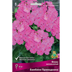 ����  ����� ����������� ������� ����������, ������ �� 348 ���