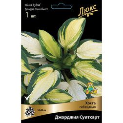 ����  ����� ��������� �������� �������� *, ������ �� 634 ���