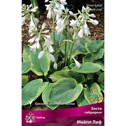 ����  ����� ��������� ����� ���, ������ �� 357 ���