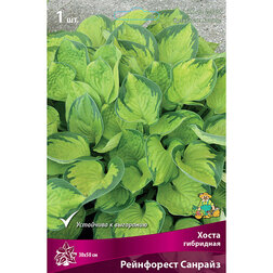 ����  ����� ��������� ���������� �������, ������ �� 501 ���