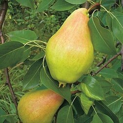 ����  ����� ������, ������ �� 419 ���