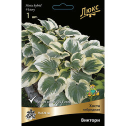 ����  ����� ��������� �������*, ������ �� 501 ���