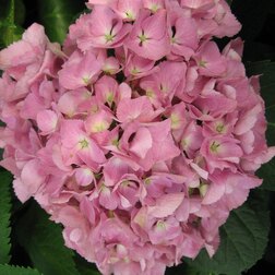 ����  ��������� �������������� ��������, ������ �� 612 ���