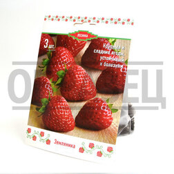 ����  ��������� ������� ������� ��205 (3 ��.), ������ �� 359 ���