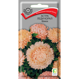 ����  ����� ���� ����� �����, ������ �� 66 ���