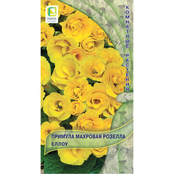 ����  ������� �������� ������� �����, ������ �� 117 ���