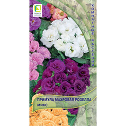 ����  ������� �������� ������� ����, ������ �� 117 ���