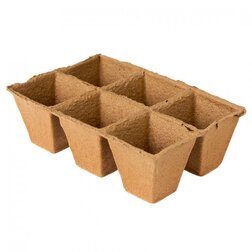 ����  ������ �������� 6 ����� (90�90), ������ �� 39 ���