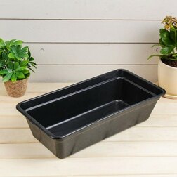 ����  ���� ��� ������� ������������� �2, ������ �� 119 ���