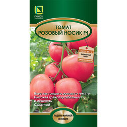 ����  ����� ������� ����� F1, ������ �� 44 ���