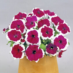 ����  ������� ����������� ����� ������ ������� (��-1000�����) ���������������� ������, ������ �� 3520 ���