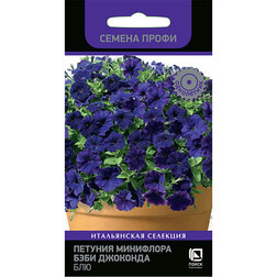 ����  ������� ��������� ���� �������� ��� (������ �����), ������ �� 164 ���