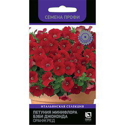 ����  ������� ��������� ���� �������� ����� ��� (������ �����), ������ �� 164 ���