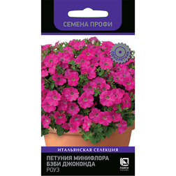 ����  ������� ��������� ���� �������� ���� (������ �����), ������ �� 164 ���