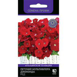 ����  ������� ����������� �������� ��� (������ �����), ������ �� 164 ���