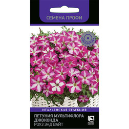 ����  ������� ����������� �������� ���� ��� ���� (������ �����), ������ �� 164 ���