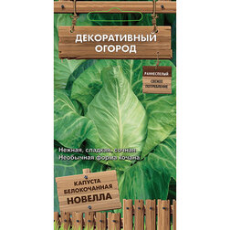 ����  ������� ������������ ������� (������������ ������ ), ������ �� 30 ���