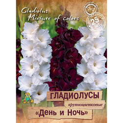 ����  ���������� ��������������� ���� � ���� (25 ��.), ������ �� 943 ���