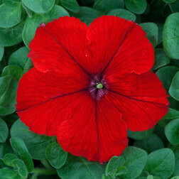 ����  ������� ����������� ����� ������� (��-1000�����) ���������������� ������, ������ �� 3344 ���