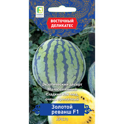 ����  ����� ������� ������ F1 (��������� ���������), ������ �� 81 ���